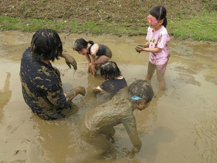 田んぼで泥んこ遊び