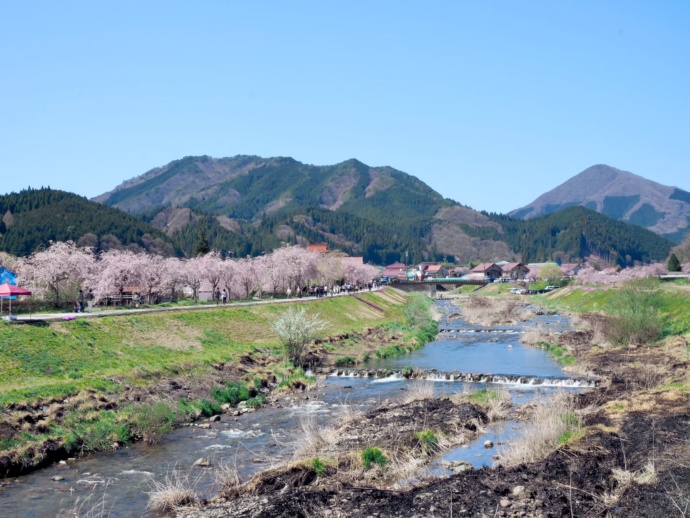 新庄村の川沿い風景