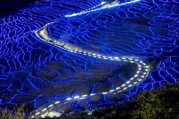 イルミネーションイベント「輪島・白米千枚田 あぜのきらめき」で日没後の点灯した「白米千枚田」（ブルー）