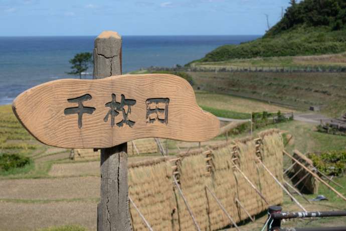 収穫期の「白米千枚田」と看板