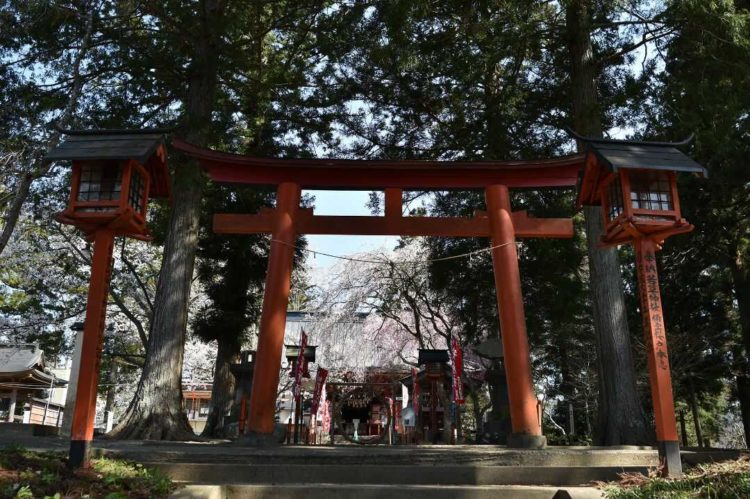 宮城県登米市にある若草稲荷神社の緑豊かな鳥居