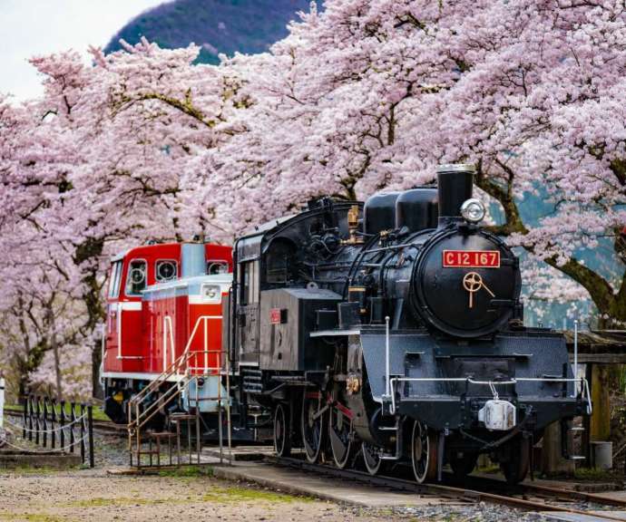 若桜鉄道の若桜駅構内のSLとDL