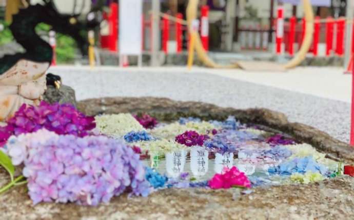 「別小江神社」の手水舎（6月）