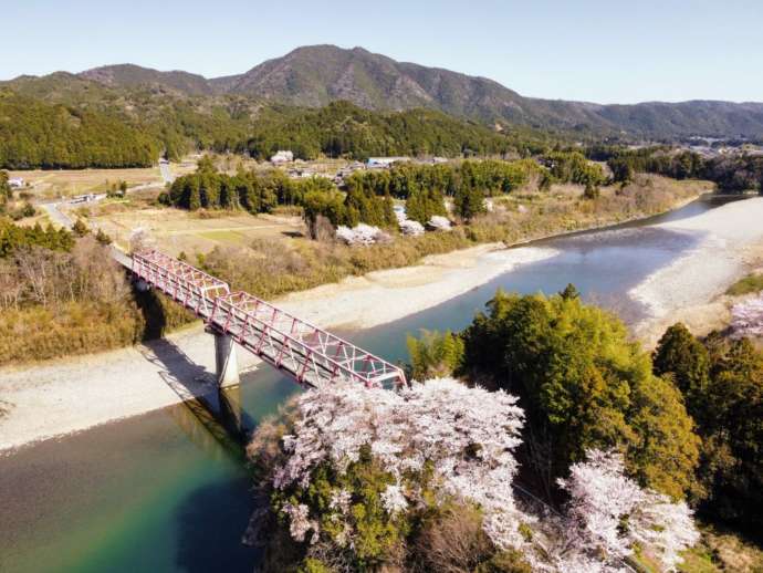 桜の季節の宮川