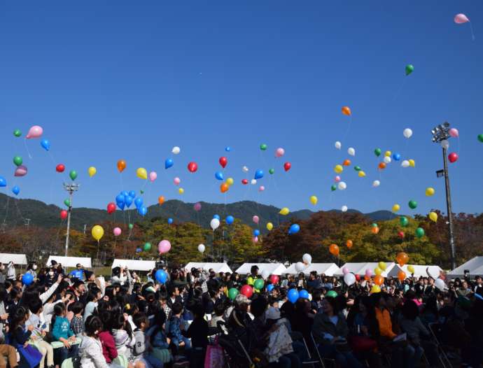 和束町茶源郷まつりの様子