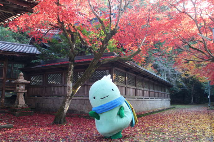 養父神社でポーズをとる養父市のイメージキャラクター「やっぷー」