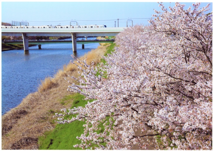 八千代市の東葉高速線