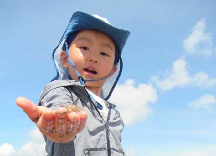 沖縄県名護市にある「屋我地エコツーネット」の体験ツアーでカニを見つけた男の子