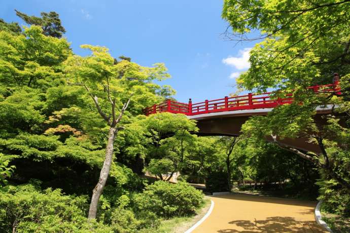 弥彦公園の夏の様子