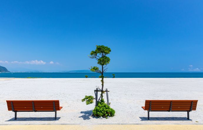 夏の石津海岸公園