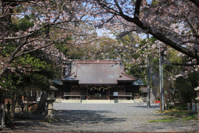 静岡県焼津市にある焼津神社の社殿