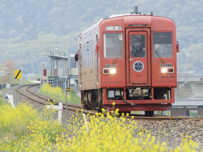 矢掛町を走る井原鉄道と菜の花の写真