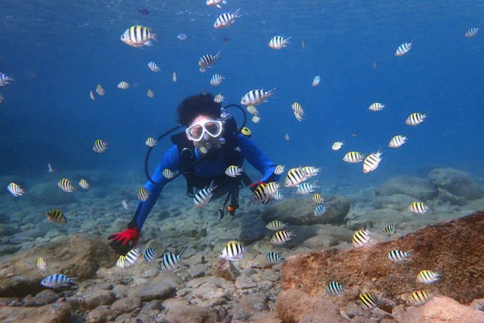 体験ダイビングで魚たちと戯れる参加者