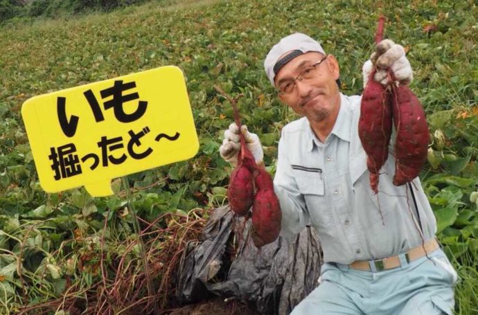 大阪府富田林市にあるやまびこ園でさつま芋を収穫した道籏さん