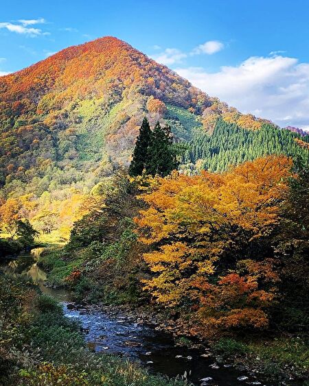 山形県金山町漆野地区の紅葉