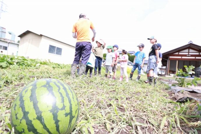 保育園の農業体験イベントの様子