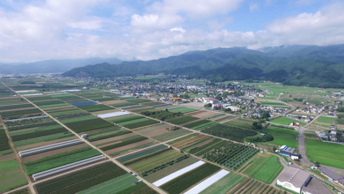 ドローンで撮影した村の全景