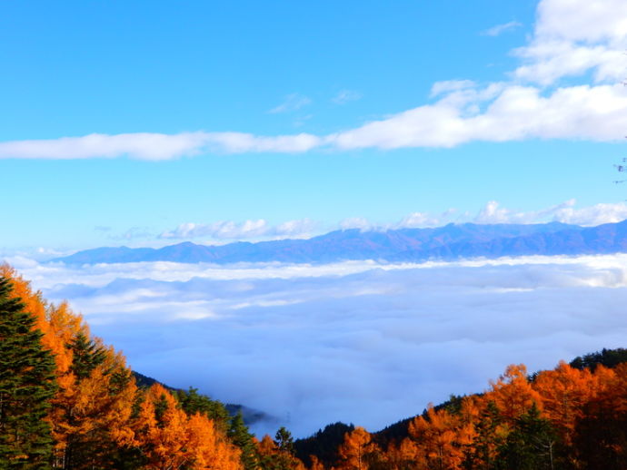 清水高原から見える雲海