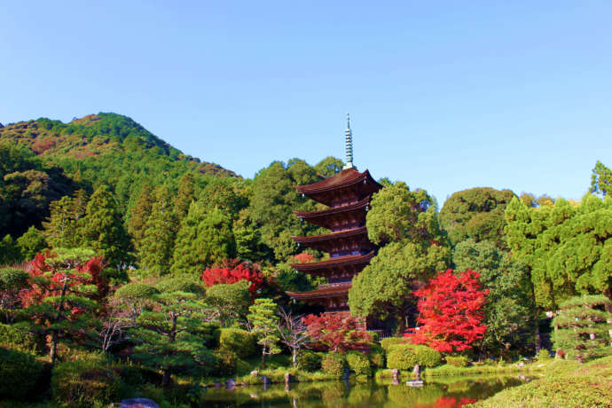 山口市の中心部を見下ろす瑠璃光寺五重塔