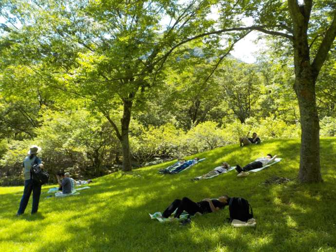 ダム広場公園の斜面に寝そべる人々