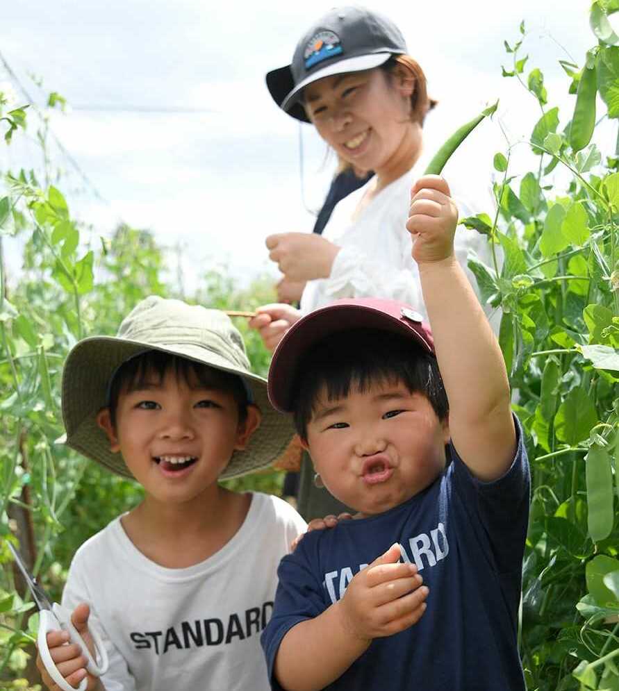 黒豆の収穫体験に参加し、笑顔いっぱいの子どもたち