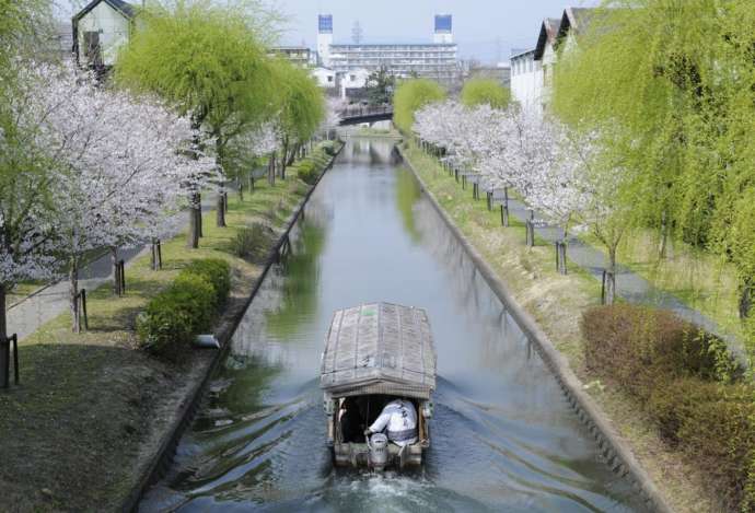 伏見地区の河川の様子