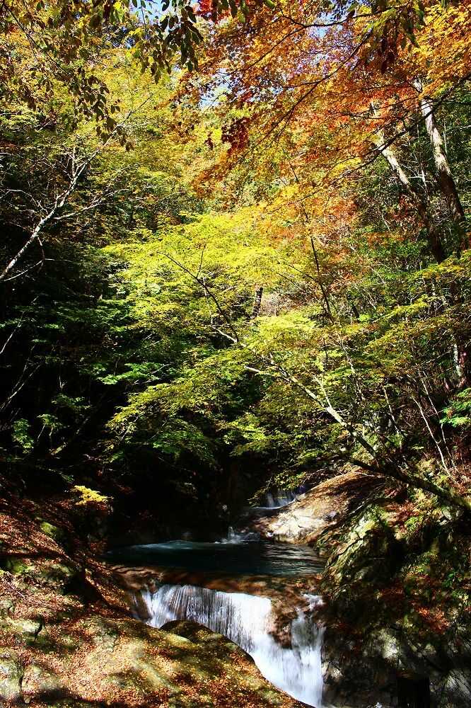 山梨市森林セラピーで訪れる西沢渓谷にある三重の滝