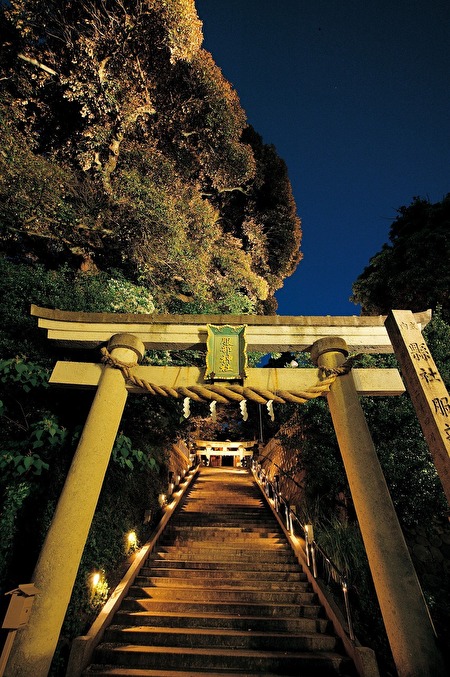 ライトアップされた服部神社の鳥居