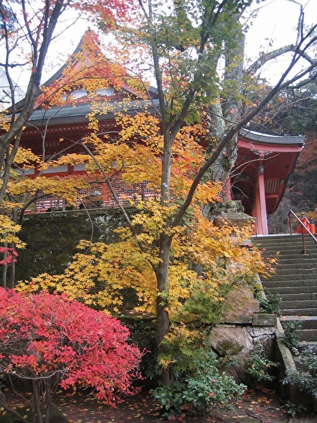 薬王院温泉寺の境内