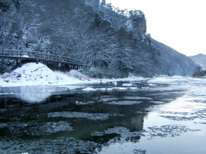 久慈川のシガ