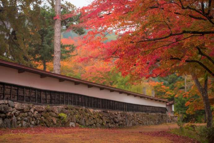 紅葉が映える人気の写真スポットである圓藏寺境内