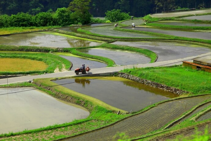 村内風景