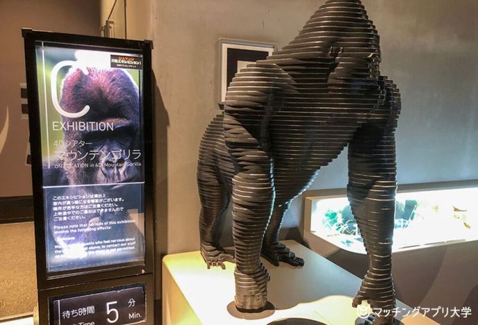 オービィ横浜4Dシアターマウンテンゴリラ