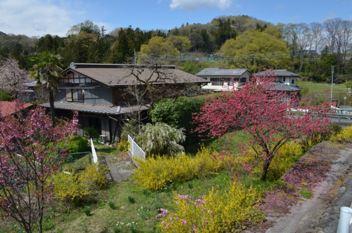 春の横瀬町