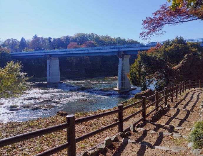 玉淀川の河原