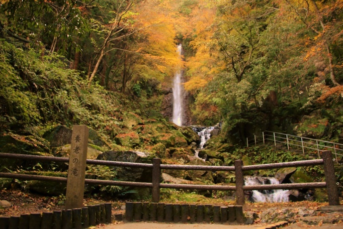 紅葉の季節の養老の滝