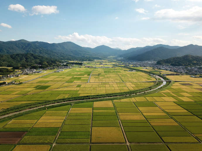 空から見た与謝野町の加悦谷平野