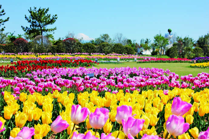 静岡県榛原郡吉田町の風景写真