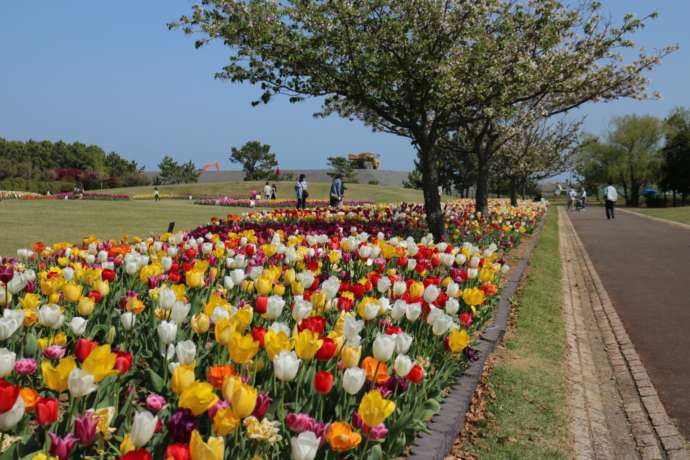 県立吉田公園