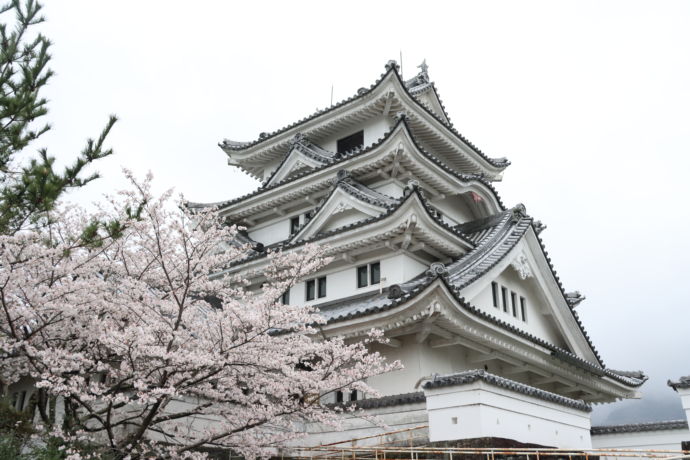 川島城と桜