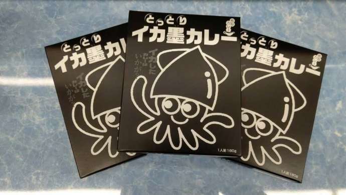 浦富海岸島めぐり遊覧船のお土産「イカ墨カレー」