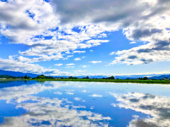 熊本県湯前町の夏の田園風景