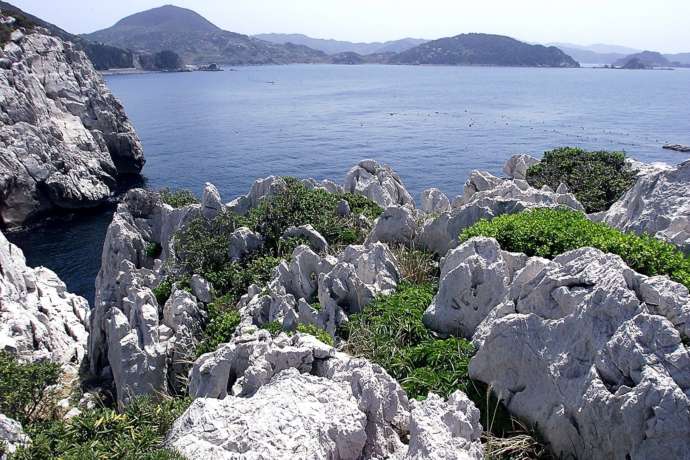 由良町の名所である白崎海岸