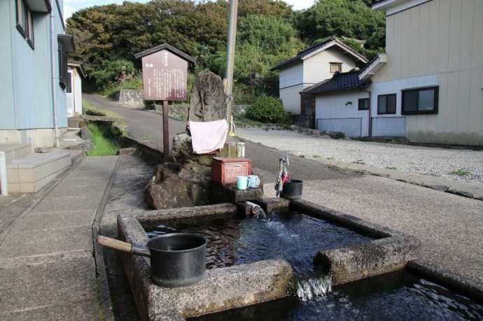 湧水ポイントの一つ神泉の水