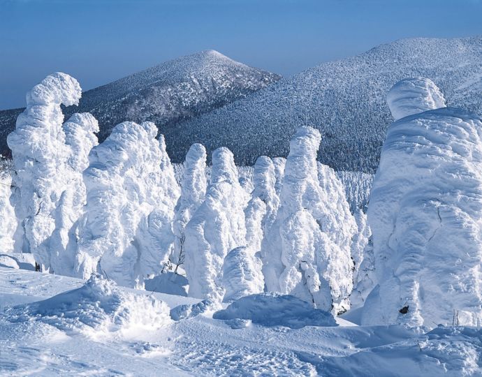 蔵王町の樹氷