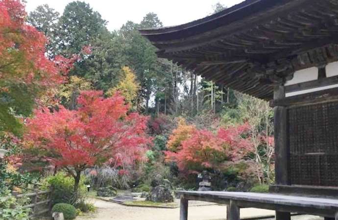 秋の善水寺本堂