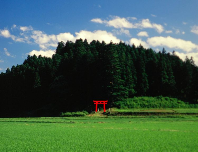 坪沼八幡神社について