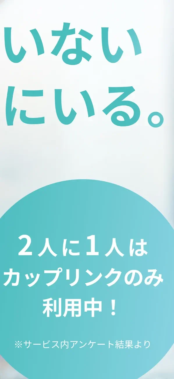 カップリンク画面3