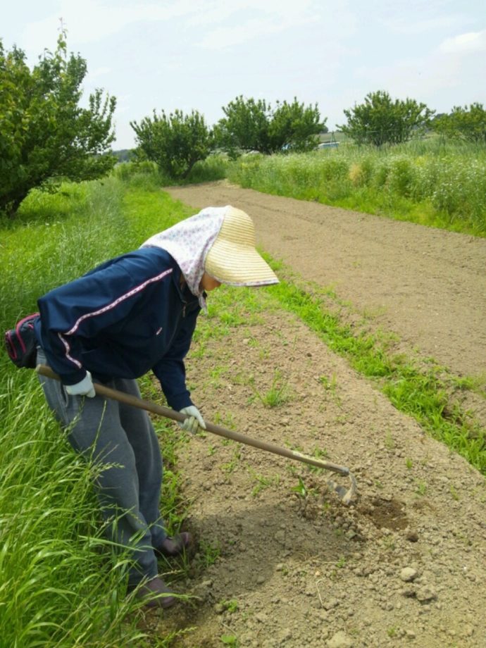 農家の嫁について