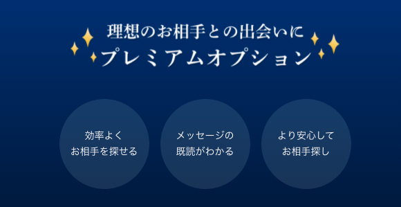 ゼクシィ縁結びのオプション｜料金と機能